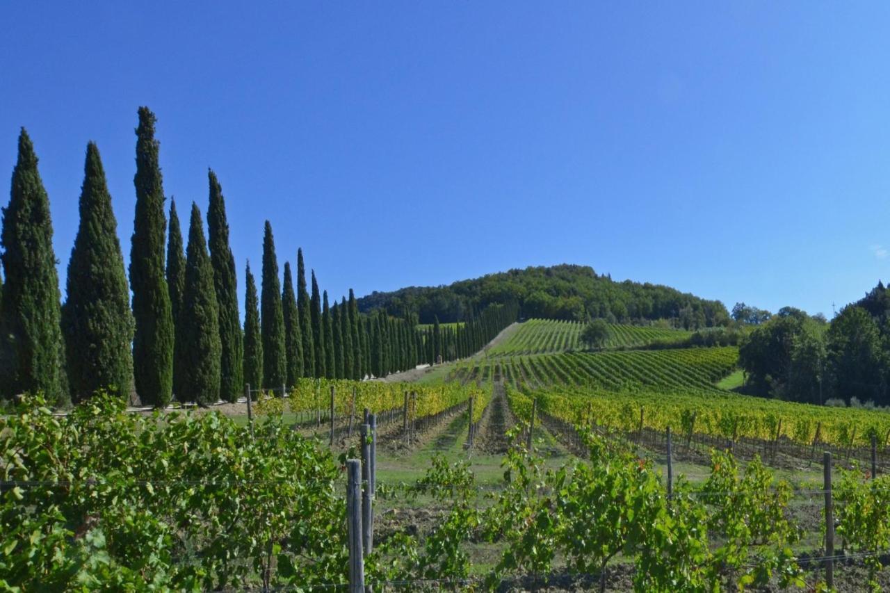 Villa Paradiso - Happy Rentals Mensano エクステリア 写真