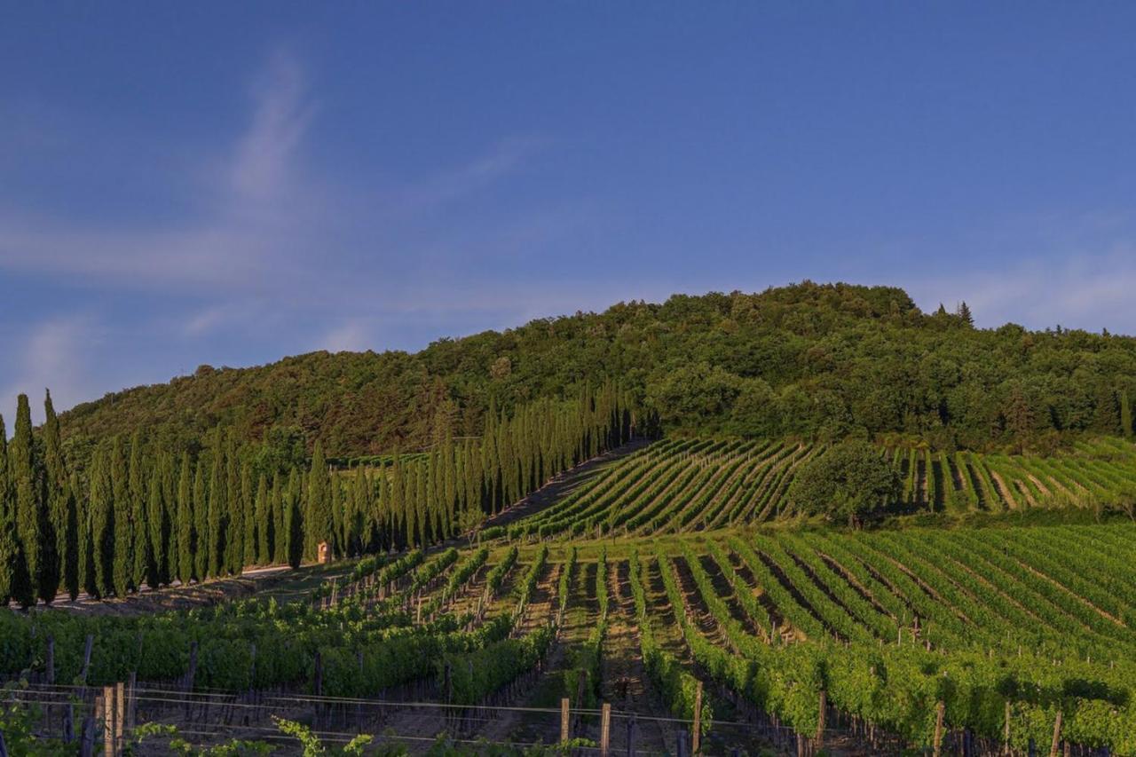 Villa Paradiso - Happy Rentals Mensano エクステリア 写真